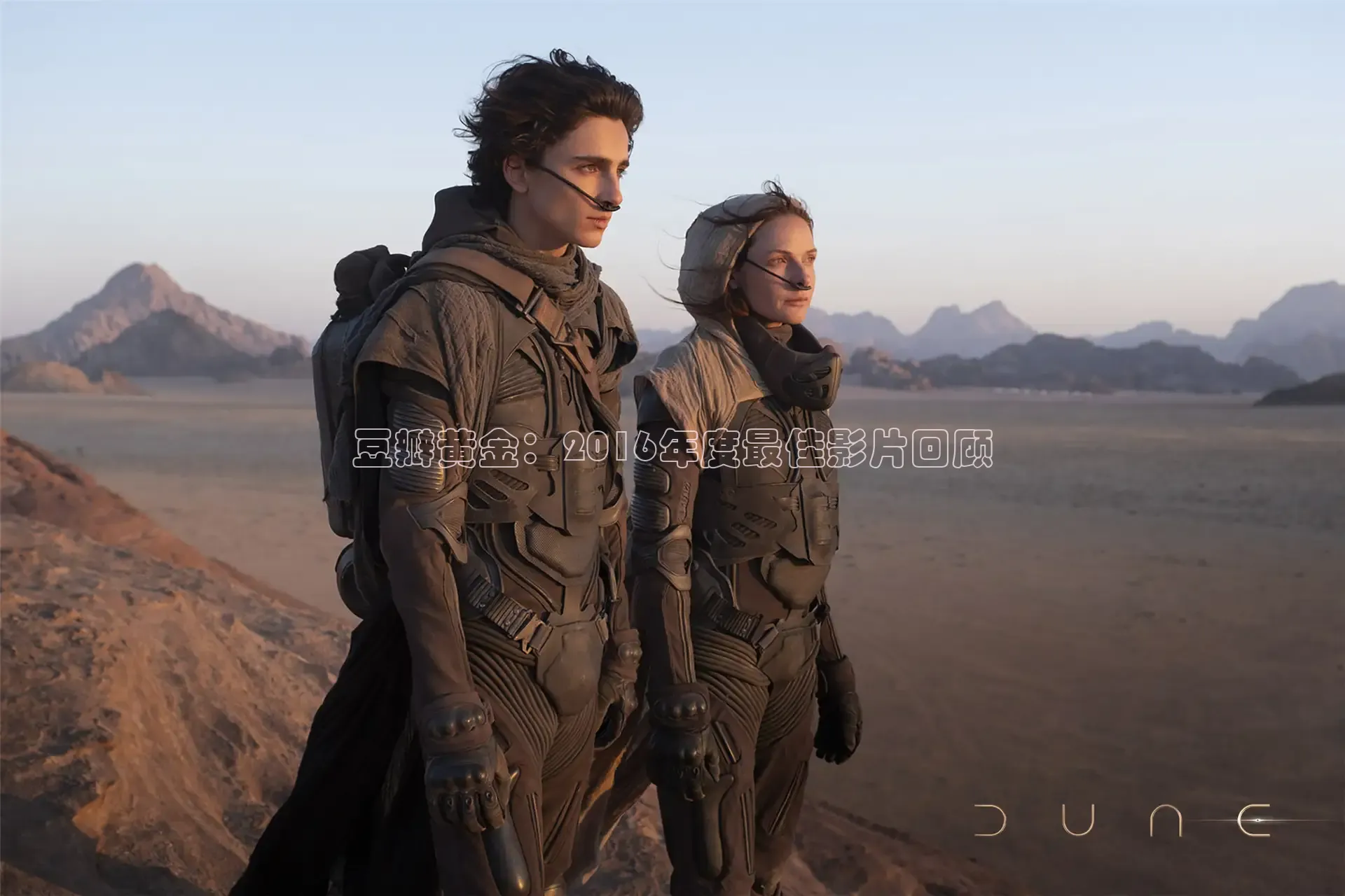 樱花视频高清免费看电视剧