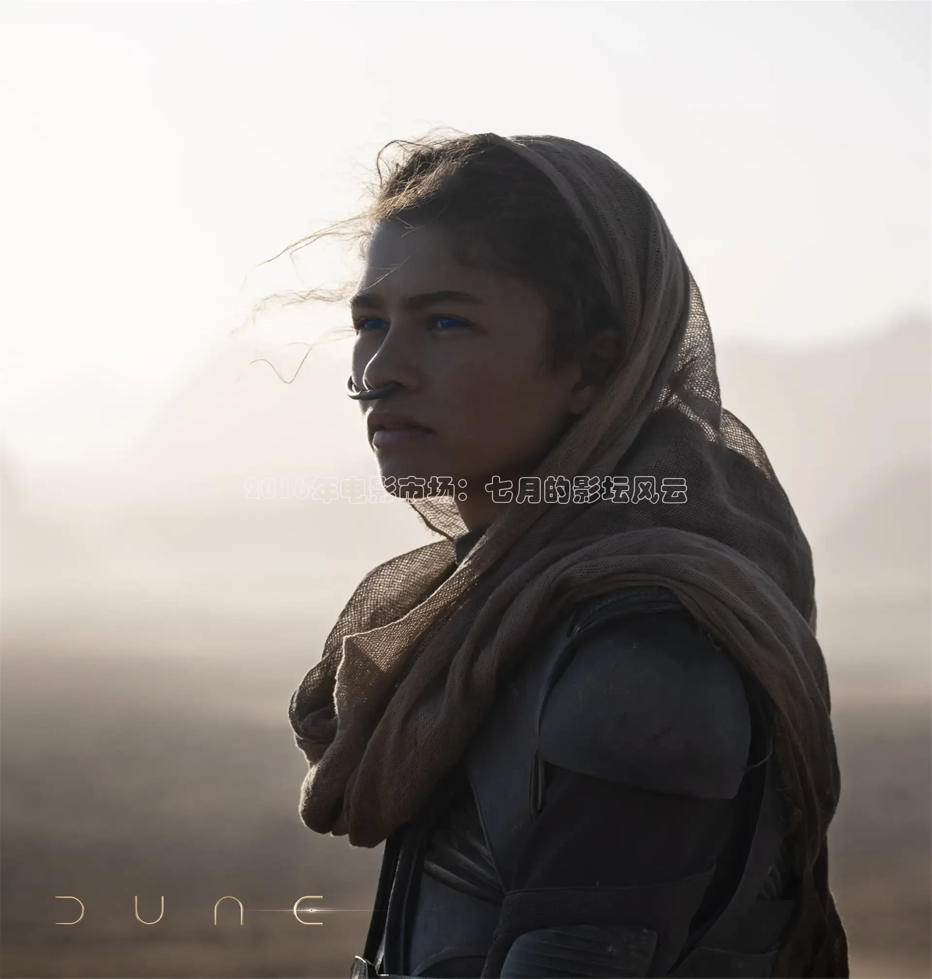 樱花视频在线观看免费高清电视剧